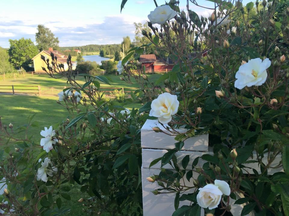 Bed and Breakfast Tukkilan Tila Porvoo Exterior foto